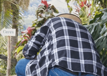 [COMPLETO] 1177H0630 Le fue infiel a su novia con su mejor amigo de la infancia